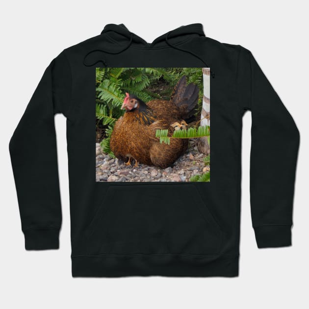 Rooster with her Chicks Hoodie by croper